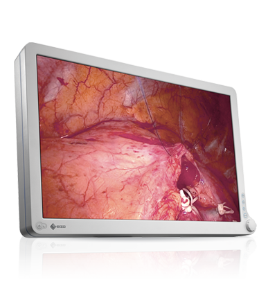 RadiForce EX240W