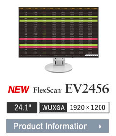 FlexScan EV2456
