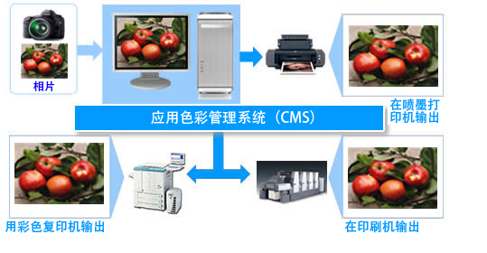 CMS图像