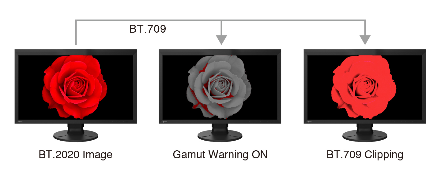 BT.709 Out of Gamut Warning
