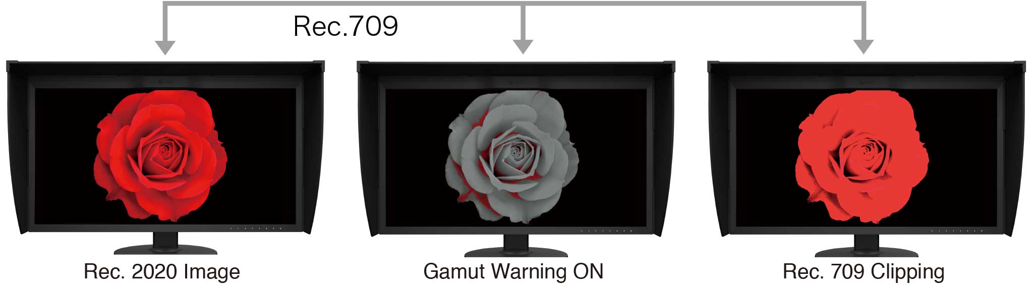 Rec. 709 Out of Gamut Warning