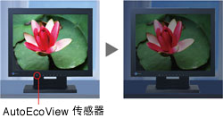 Auto EcoView sensor