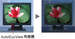 Auto EcoView sensor