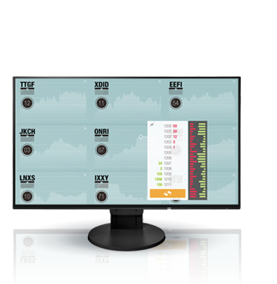 FlexScan EV2451