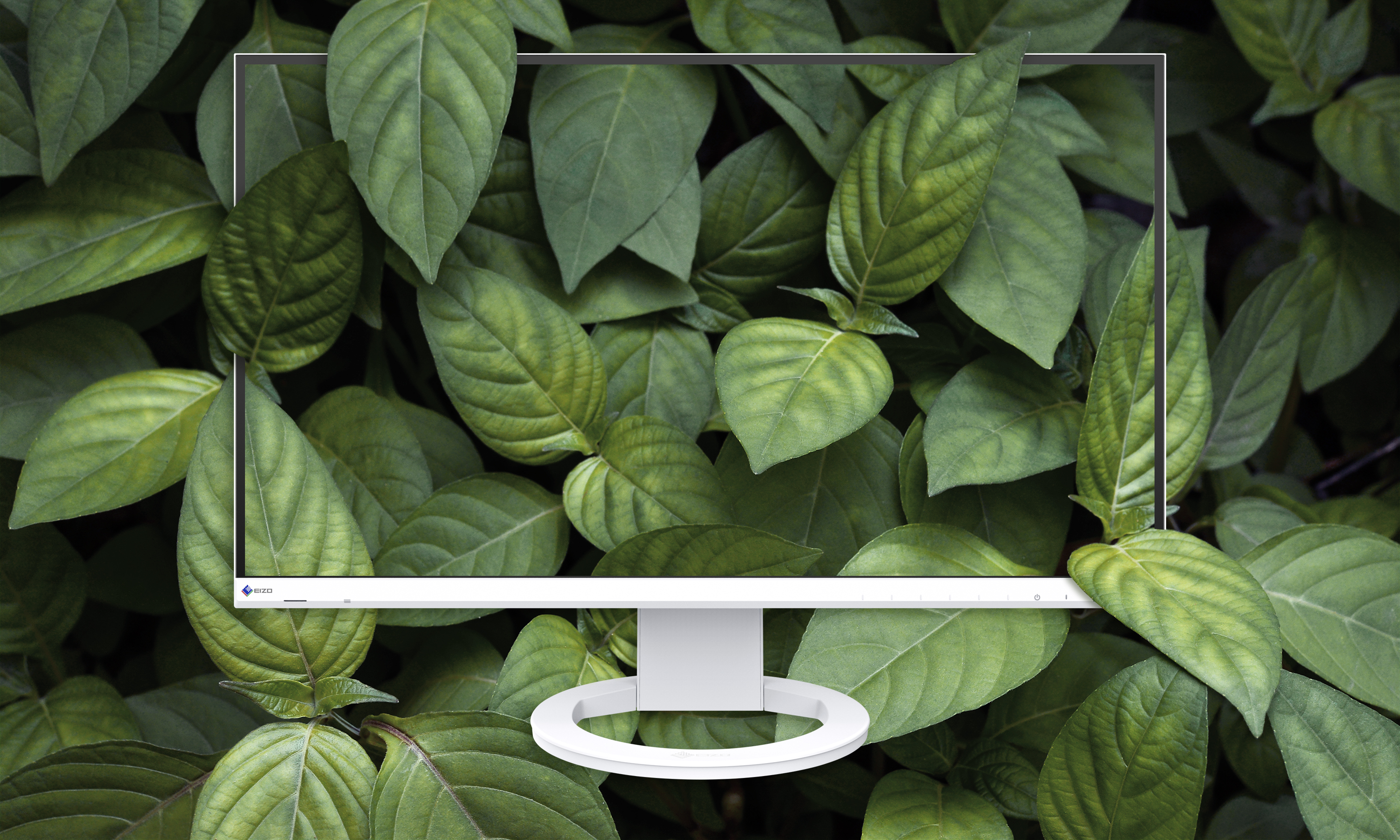 Low Environmental Impact Materials