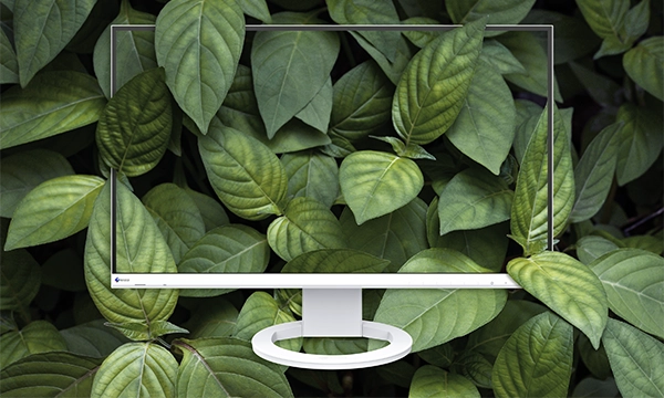 Low Environmental Impact Materials