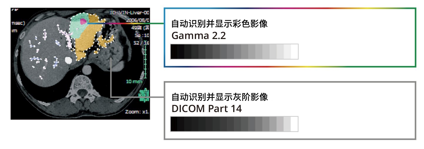 Display Both Monochrome and Color