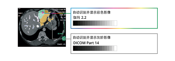 Display_Both_Monochrome_and_Color.jpg